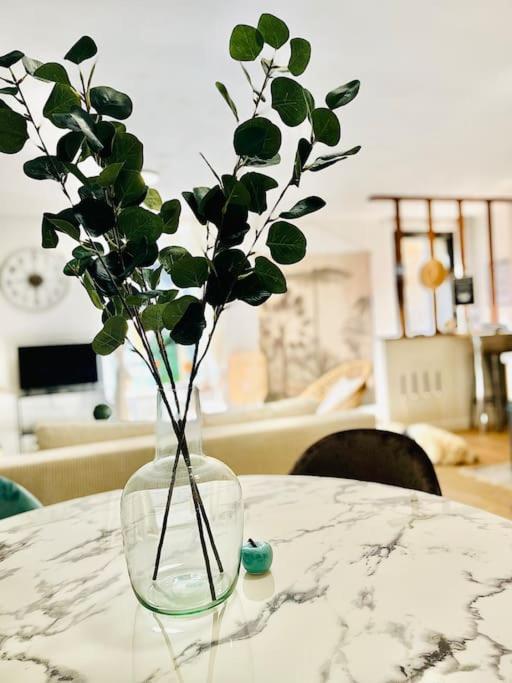 סן-בריו Le Cottage Breton, Hypercentre Historique Stb מראה חיצוני תמונה