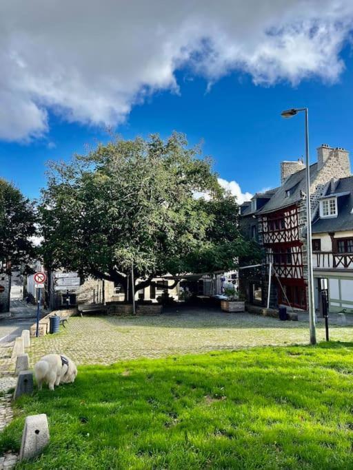 סן-בריו Le Cottage Breton, Hypercentre Historique Stb מראה חיצוני תמונה